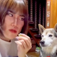 『コンビ結成何年目ですか？』犬のオヤツを食べる女性→お笑い芸人顔負けな『掛け合い』が119万再生「どう見ても台本ありｗｗ」「おもろすぎ」