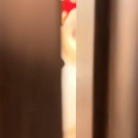 ドアを閉めて『犬と10秒間だけお別れしてみた』結果→そーっと開けてみると…抱きしめたくなる『再会の瞬間』に反響「健気だ」「バレバレｗ」