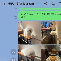 おばあちゃんにLINEで『カフェにいた犬の写真』を送った結果→思わずニヤける『返信内容』に54万再生の反響「かわいい」「逆におもろいｗ」