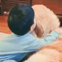 小さな男の子が大型犬と一緒に過ごした結果→3歳で『僕の弟』と言い出して…あまりにも尊い成長記録が46万再生「仲良し兄弟だ」「ほっこり」