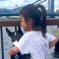 4歳の女の子と犬を撮影→6年後、『同じ場所で写真を撮った』結果…尊すぎる『現在と過去』に感動「何年経っても想いは変わらない」と17万再生