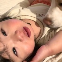 インフルエンザで『40度の熱』が出た小さな女の子→定期的に『犬』が見に来てくれて…家族愛に溢れた光景に感動「優しい」「最高の看護師長」