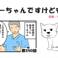 ちーちゃんですけどもっ【第350話】「人も犬も自立神経が大事」