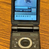 実家にあったガラケーを充電したら『亡くなった愛犬の写真』を見つけて…思わず涙腺がゆるむ光景が161万表示「ダメだ、泣けちゃう」「宝物」