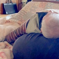 コタツの中『おじいちゃんの腕枕』でうとうとする老犬…尊すぎる『ふたりの時間』に反響「ジーンときた」「専用の特等席」「いつまでも元気で」