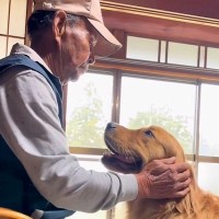 『大好きなおじいちゃん』と会った犬→嬉しくて飛びかかると思いきや…優しさに溢れた『尊い光景』が21万再生「平和な時間」「愛しかない」