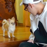 『じゃあ、行ってくるで』パパが外出→犬が玄関で待ち続けて…あまりにも健気な『お留守番の様子』に反響「愛感じる」「文句言ってて可愛いｗ」