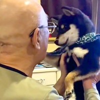 病気が発覚した『犬好きのお父さん』→家族みんなで闘病して…涙腺崩壊する『亡くなるまでの記録』に反響「今も見守ってる」「思い出は覚えてる」