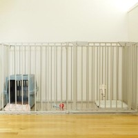 犬の『ケージ』絶対NGな置き場所4選　ストレスや体調不良の原因となる位置とは？