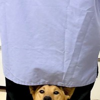 動物病院で仕事中、ふと振り返るとスタッフが…目に飛び込んできた『想定外の光景』が133万表示「シンデレラフィットで草」「ドヤ顔が尊い」