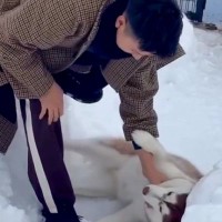 ドッグランから帰りたくない大型犬→駄々をこね始め…抵抗する姿が『人間の子ども』のようだと118万再生「イヤイヤ期で草」「全身で阻止ｗ」