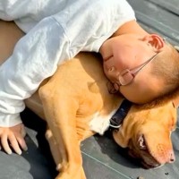 男の子と仲良しな大型犬→いつでもどこでも一緒にいて…あまりにも尊い『本当の兄弟のような様子』が32万再生「愛し合ってる」「大親友」と絶賛