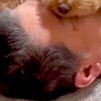 『息できてる？』寝ているパパの布団に、犬が乗ってきて…思わず心配してしまう『まさかの光景』が123万再生「固定してるｗ」「大きな目隠し」