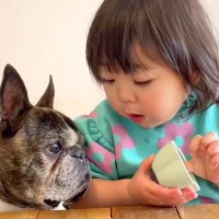 小さな女の子が、犬に『いちご食べる？』と聞いた結果→まるで会話をしているようで…尊いやり取りが86万再生「成り立ってる」「見てて幸せ」