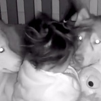 隣の部屋で家事中『赤ちゃんの見守りカメラ』を確認した結果→2匹の大型犬が…『まさかの光景』が35万再生「最高のボディガード」「優しい」