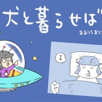 犬と暮らせば【第531話】「真夜中のプリズム」