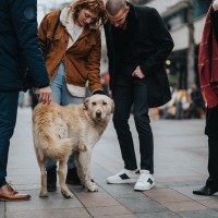 他人の犬にしてはいけない『絶対NG行為』5つ　思わぬアクシデントが発生することも…