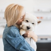 犬を『嫌な気持ち』にさせる飼い主の行動5つ　無意識にやってない？改善すべきタブー行為とは