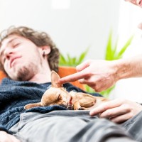 犬が飼い主の『おなかに乗って寝る』心理５選　寝床が一緒でも大丈夫？注意点まで解説