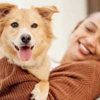犬を『幸せにする』方法５選　日々の暮らしに満足しているかどうかを判断する方法まで