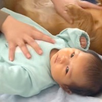 赤ちゃんと『ふれあい遊び』をする母親→なぜか横で『犬も参加』して…どっちが赤ちゃんかわからない光景が114万再生「ほっこり」「表情がｗ」