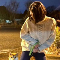 犬を『パーキングエリア』に連れて行った結果→帰りたくないと駄々をこねて…奇跡的な『カッコよすぎる一枚』に爆笑「カメラ目線で草」「完璧ｗ」