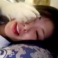 帰宅して真っ先に『猫を撫でた』結果→超大型犬が嫉妬して…自分の大きさを理解していない『ヤキモチ』が53万再生「思ったより本気で笑うｗｗ」