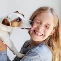 犬が飼い主に『甘えたい』ときにする行動6選　甘えんぼうなワンコの特徴や適切な対応まで