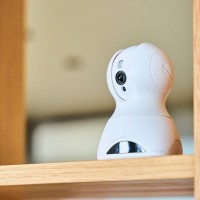 犬との暮らしであるといい『便利グッズ』3つ　QOLを上げるオススメ用品とは？