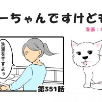 ちーちゃんですけどもっ【第351話】「何見てももう可愛い」