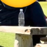 ドッグランで『愛犬の姿が見当たらない』と思い、辺りを見渡したら…『衝撃の光景』が16万再生「お世話になりましたｗｗ」「乗り換えてて草」