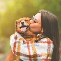 飼い主が犬より先に亡くなった場合に起こること3つ　愛犬を不幸にさせない為の心得とは