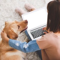 犬が『飼い主の近くに座る』心理4つ　可愛すぎる意外な理由や適切な対応までご紹介