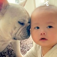 『赤ちゃんの匂い』が大好きな犬→クンクン嗅いでいたら、やめるタイミングを見失って…尊い光景が232万再生「幸せ空間」「心が浄化される」