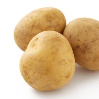 犬は『じゃがいも』を食べても大丈夫？与える際の絶対NG行為や注意点まで