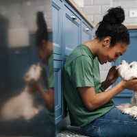 犬が『飼い主に話しかけられた』ときの心理5選　声をかけるメリットや注意点まで