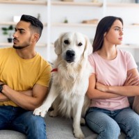 犬が『飼い主の喧嘩を仲裁する』心理3つ　愛犬は人間が揉めているのが分かるの？