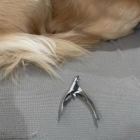 爪切りが嫌いな大型犬に近づいた結果→『今から爪を切る』とバレてしまい…まさかの『先手を打たれた光景』に反響「手足ナイナイ」「賢いｗ」