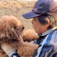 いつも犬と遊んでくれたおじさん→『定年退職でもう会えない』と告げられ…涙あふれる『ふたりの思い出』が20万再生「泣いた」「互いに寂しい」