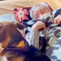 おじいちゃんが大好きすぎる犬→家に遊びに行くと、真っ先に…愛おしすぎる『お互いの反応』が27万再生「じぃじニッコニコ」「どっちも可愛い」