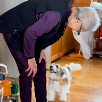 『96歳のおばあちゃんと子犬』が初めて出会った結果→まるで本当の孫のような『ふたりのやり取り』に反響「可愛すぎて泣けた」「嬉しそう」