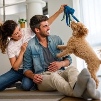 犬が喜ぶ『飼い主の行動』5選　嬉しいときにみせる仕草や今よりもっと仲良くなるコツまで