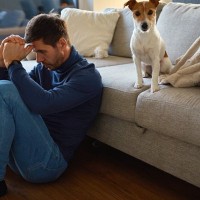 犬が『亡くなる夢を見る』のはなぜ？どんな意味があるの？状況別でわかる飼い主の心理まで