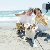 犬を『スマホで撮影』飼い主の絶対NG行為3選　誤った認識が愛犬の体に負担となることも