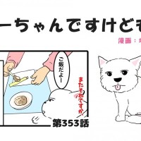 ちーちゃんですけどもっ【第353話】「とにかく時間がかかる」