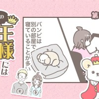 うちの王様にはどうしても抗えない【第349話】「何してたんだろう」