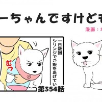 ちーちゃんですけどもっ【第354話】「毎回手こずる」