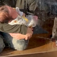 赤ちゃんと一緒に親友の家へ来た犬→どうしても赤ちゃんが気になってしまい…大好きが伝わる『尊い光景』に反響「とても素敵」「優しいお姉さん」