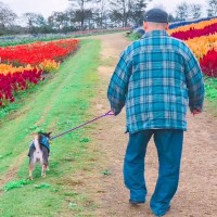 犬と仲良しだった『おじいちゃん』が突然の他界…孫のように暮らした『かけがえのない記録』に思わず涙「優しい笑顔…」「お空で見守ってるよ」