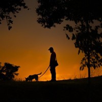 夜に愛犬を散歩させるときの『絶対NG行為』4選　安全に歩くための対策とは？